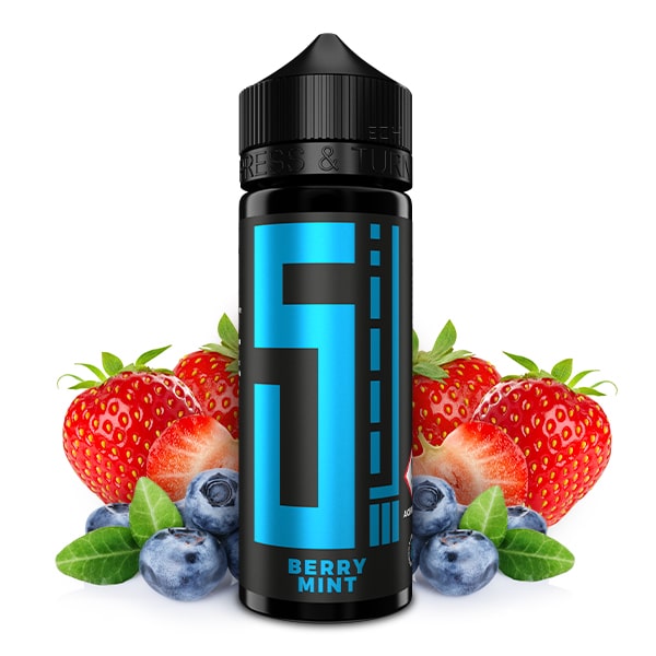 5 Elements Longfill Aroma Berry Mint 10ml